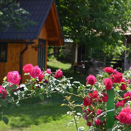 Ferienwohnung Ivona - Kuca Za Odmor Perusic - Stara Lika Exterior foto