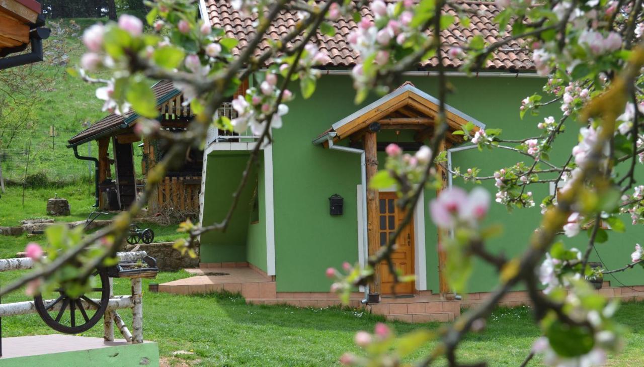 Ferienwohnung Ivona - Kuca Za Odmor Perusic - Stara Lika Exterior foto