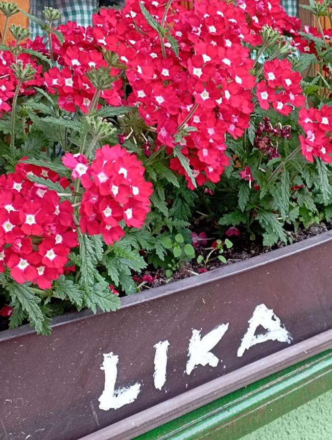 Ferienwohnung Ivona - Kuca Za Odmor Perusic - Stara Lika Exterior foto