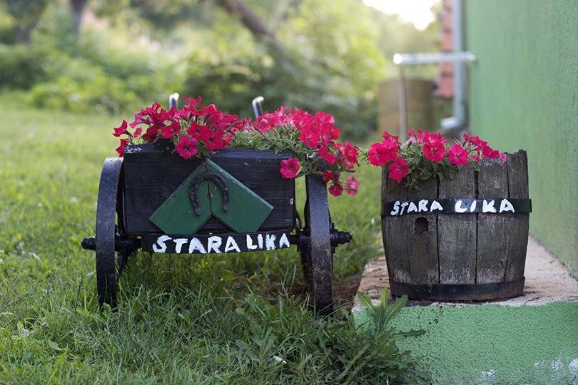 Ferienwohnung Ivona - Kuca Za Odmor Perusic - Stara Lika Exterior foto