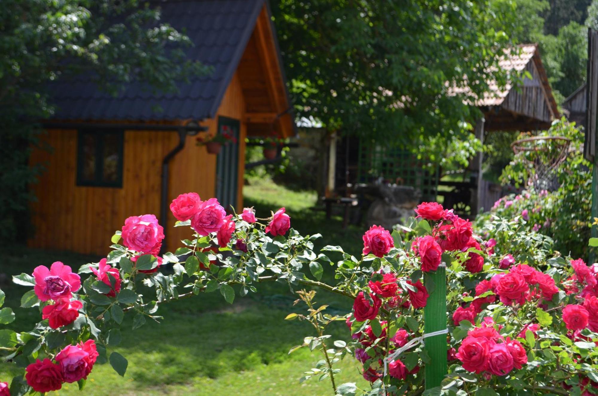 Ferienwohnung Ivona - Kuca Za Odmor Perusic - Stara Lika Exterior foto